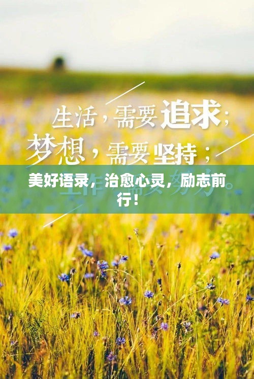 美好语录，治愈心灵，励志前行！