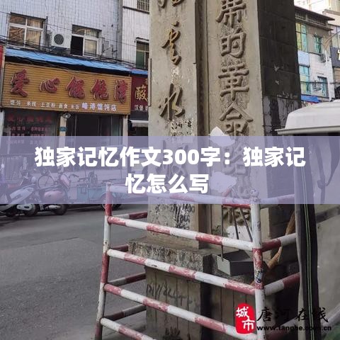 独家记忆作文300字：独家记忆怎么写 