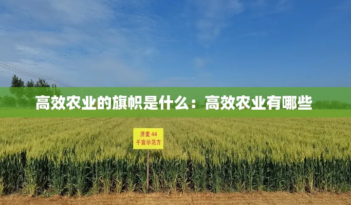 高效农业的旗帜是什么：高效农业有哪些 