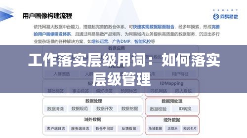 工作落实层级用词：如何落实层级管理 