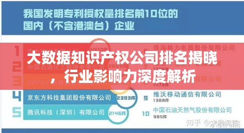 大数据知识产权公司排名揭晓，行业影响力深度解析