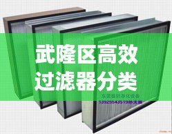 国色天姿 第2页