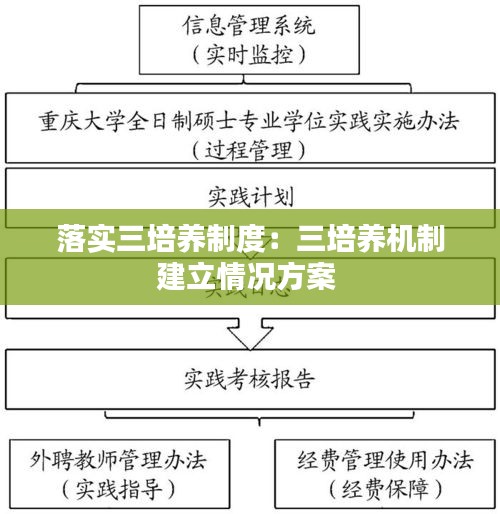 落实三培养制度：三培养机制建立情况方案 