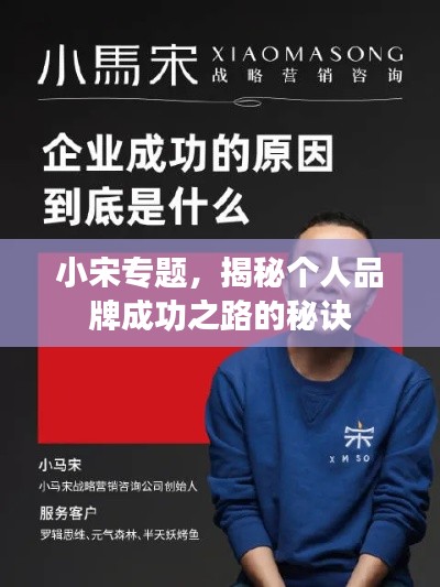 小宋专题，揭秘个人品牌成功之路的秘诀