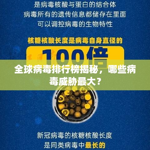 全球病毒排行榜揭秘，哪些病毒威胁最大？