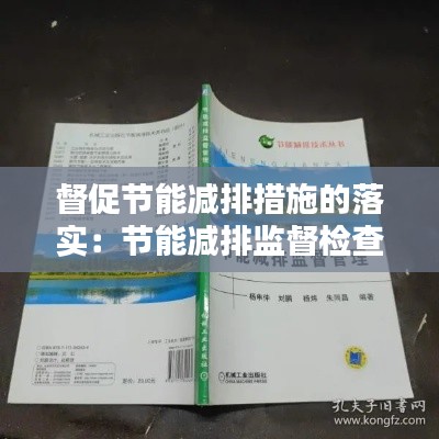 督促节能减排措施的落实：节能减排监督检查制度 