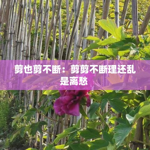 剪也剪不断：剪剪不断理还乱是离愁 