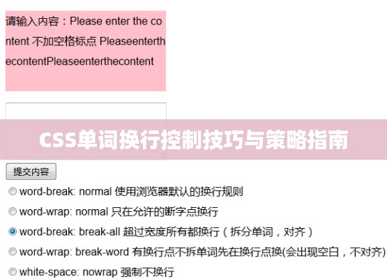 CSS单词换行控制技巧与策略指南