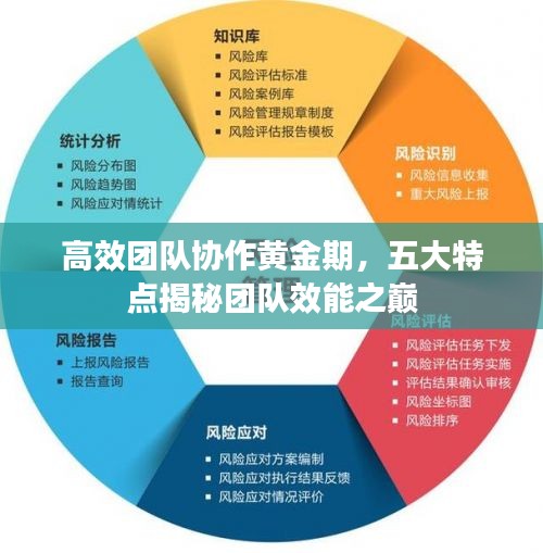 高效团队协作黄金期，五大特点揭秘团队效能之巅