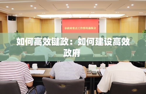 如何高效键政：如何建设高效政府 