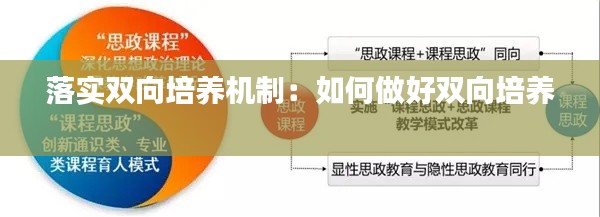 落实双向培养机制：如何做好双向培养 