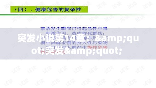 突发小说第14章：&quot;突发&quot; 