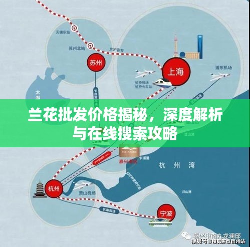 兰花批发价格揭秘，深度解析与在线搜索攻略