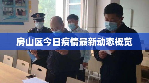 房山区今日疫情最新动态概览