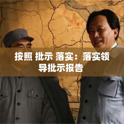 按照 批示 落实：落实领导批示报告 
