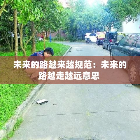 未来的路越来越规范：未来的路越走越远意思 