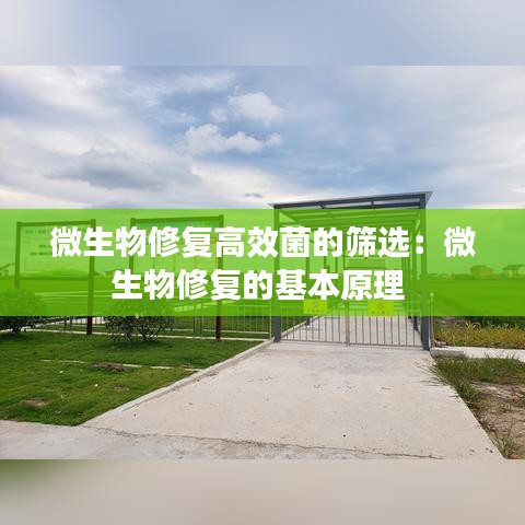 微生物修复高效菌的筛选：微生物修复的基本原理 