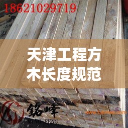 天津工程方木长度规范：天津木方生产厂家 