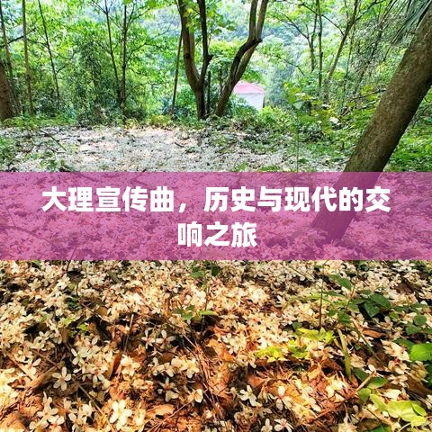 大理宣传曲，历史与现代的交响之旅