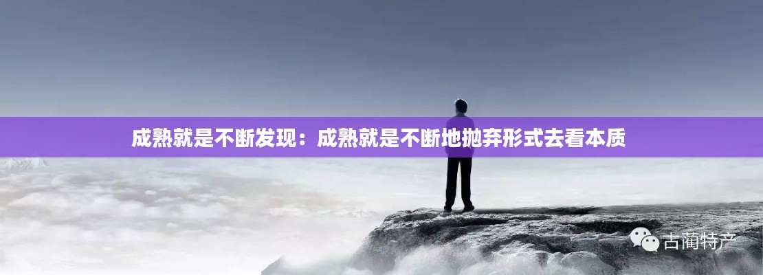 成熟就是不断发现：成熟就是不断地抛弃形式去看本质 