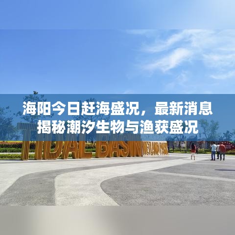 海阳今日赶海盛况，最新消息揭秘潮汐生物与渔获盛况