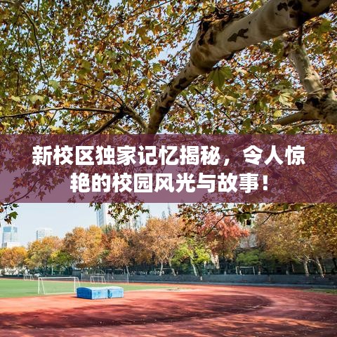 新校区独家记忆揭秘，令人惊艳的校园风光与故事！