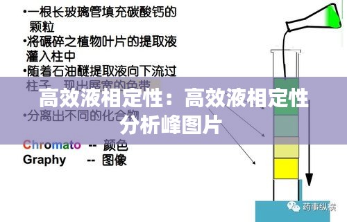 高效液相定性：高效液相定性分析峰图片 