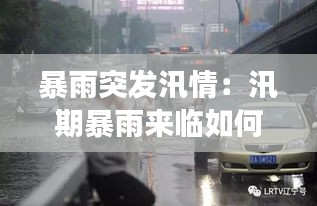 暴雨突发汛情：汛期暴雨来临如何采取有效防范处置措施 