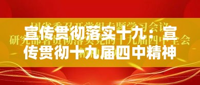 宣传贯彻落实十九：宣传贯彻十九届四中精神 