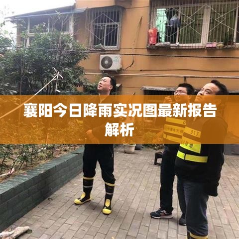 襄阳今日降雨实况图最新报告解析