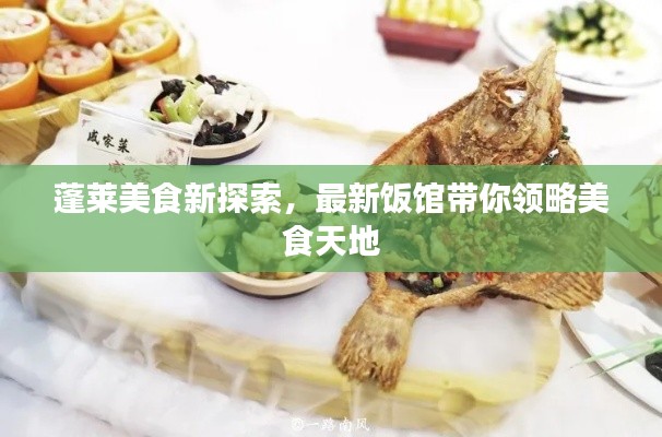 蓬莱美食新探索，最新饭馆带你领略美食天地