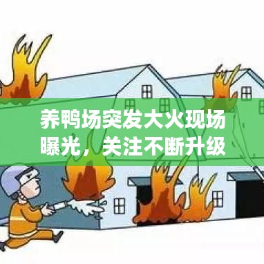 养鸭场突发大火现场曝光，关注不断升级！