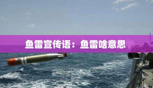 鱼雷宣传语：鱼雷啥意思 