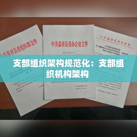支部组织架构规范化：支部组织机构架构 