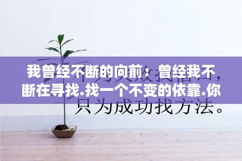 我曾经不断的向前：曾经我不断在寻找.找一个不变的依靠.你用那钉痕的双手 