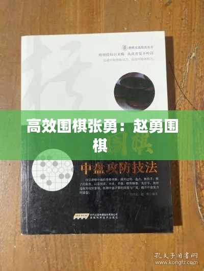 高效围棋张勇：赵勇围棋 