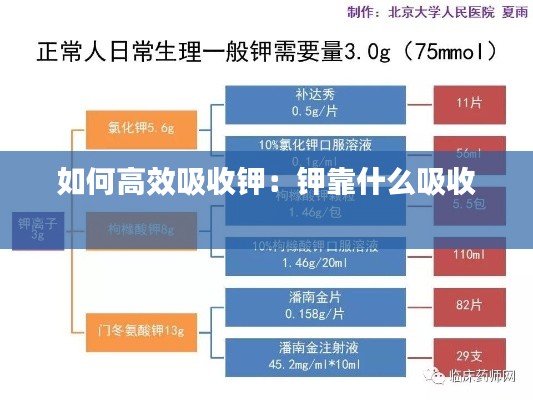 如何高效吸收钾：钾靠什么吸收 