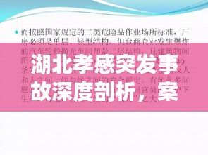 湖北孝感突发事故深度剖析，案例分析与警示启示