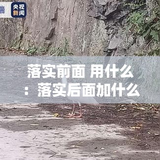 落实前面 用什么：落实后面加什么 