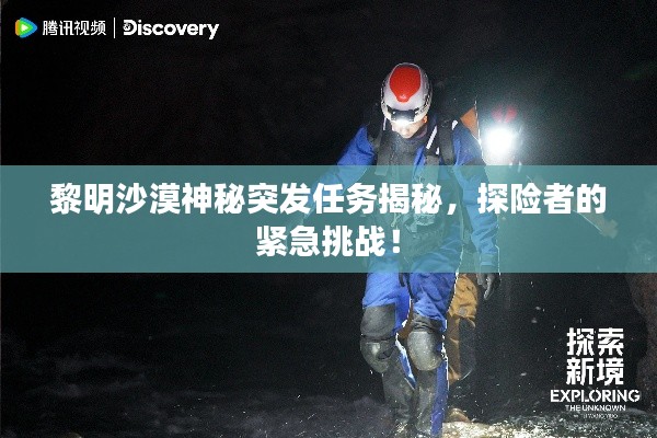 黎明沙漠神秘突发任务揭秘，探险者的紧急挑战！