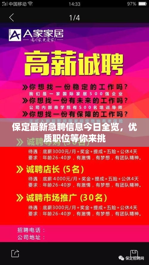 保定最新急聘信息今日全览，优质职位等你来挑