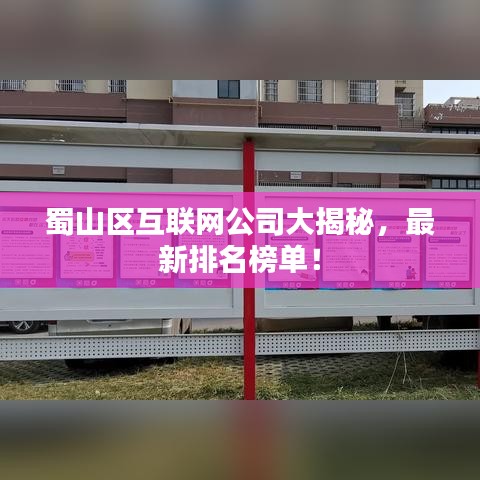 蜀山区互联网公司大揭秘，最新排名榜单！
