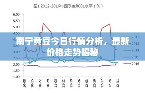 南宁黄豆今日行情分析，最新价格走势揭秘
