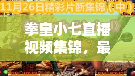 拳皇小七直播视频集锦，最新精彩对战，一网打尽！