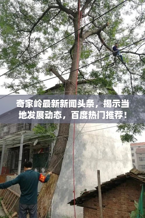 奇家岭最新新闻头条，揭示当地发展动态，百度热门推荐！