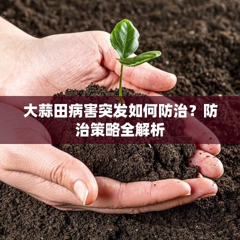 大蒜田病害突发如何防治？防治策略全解析