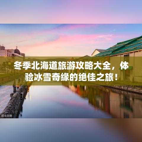 冬季北海道旅游攻略大全，体验冰雪奇缘的绝佳之旅！