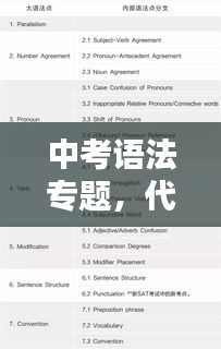 中考语法专题，代词考点深度解析