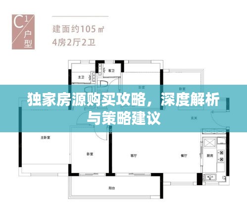 独家房源购买攻略，深度解析与策略建议