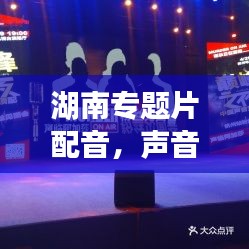 湖南专题片配音，声音艺术之旅，深度体验专业配音的魅力